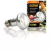 �ar�wka Intense Basking Spot 75W,63mm