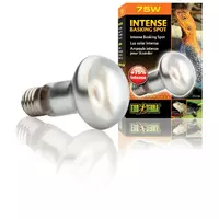 Żarówka Intense Basking Spot 75W,63mm