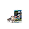 �ar�wka Swamp Glo Basking Spot, 100W