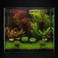 Zestaw 10 ro�lin do akwarium 50l