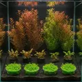 Zestaw 18 ro�lin do akwarium 150l