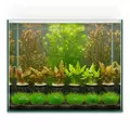 Zestaw 26 ro�lin do akwarium 300l