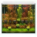 Zestaw 30 ro�lin do akwarium 400l