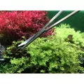 Zestaw 5 akcesori�w do aquascapingu