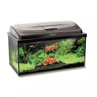 Zestaw akwariowy Aquael AQUA4START 60 D&N (60x30x30cm) 54l - prosty