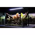 Zestaw akwariowy Opti White Sinkor SideFix 30l Cube