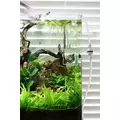 Zestaw CO2 TROPICA System 60 [5000ml] - CO2 w sprayu