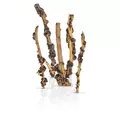 Zestaw korzeni ENIGMA WOOD (5 sztuk) - rozmiar 50-70cm