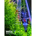 Zestaw Neo Flow Premium L/M Ver.2