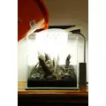 Zestaw ro�lin - akwarium 102 (27l) - 11 szt.