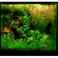 Zestaw ro�lin - akwarium 102 (27l) - 11 szt.