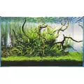 Zestaw ro�lin nr 004