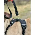 ZOLUX Adapter do szelek dla psa CLIP and GO M