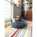 ZOLUX Legowisko dla psa okr�g�e ONE SIRIUS 65cm