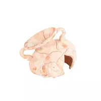 Zolux Ozdoba do akwarium Fragment amfory piaskowanej Słoń 5cm