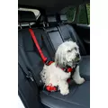 ZOLUX Szelki dla psa TRAVEL SAFE M czerwone