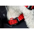 ZOLUX Szelki dla psa TRAVEL SAFE S czarne