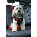 ZOLUX Szelki dla psa TRAVEL SAFE S czerwone