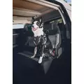 ZOLUX Szelki dla psa TRAVEL SAFE S czerwone