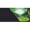 ZOLUX T�o do akwarium dwustronne Amazonka/czarne 40x60cm