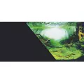 ZOLUX T�o do akwarium dwustronne Amazonka/czarne 40x60cm