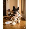 ZOLUX Zabawka pluszowa dla psa owca Lenny FURRY FARM 60cm